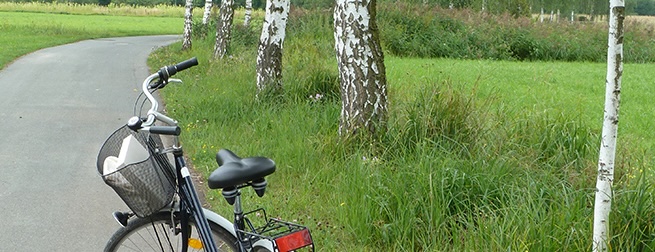 Biker & Radler unterwegs um Bad Königshofen